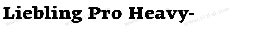 Liebling Pro Heavy字体转换